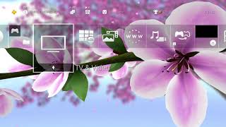 VEV Hanami Seasons Dynamic Theme (Southern Hemisphere)