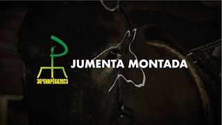 JUMENTA MONTADA - 36ª ENAPEGA