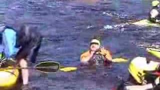 The Beaver Bounce