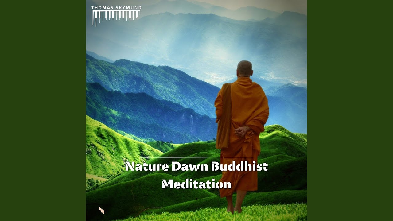 Contemplative Action