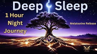The Tree Of Night  60minute Deep Sleep Journey