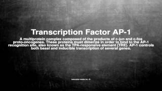 Detalles Medical vocabulary: What does Transcription Factor AP-1 mean Actualización