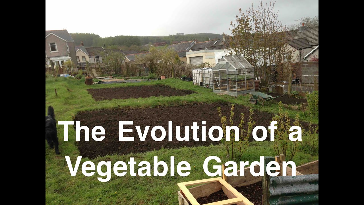 The Evolution of a Vegetable Garden | Allotments For Fun and Food