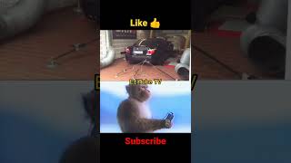 Bmw M Power M5 E60 V10