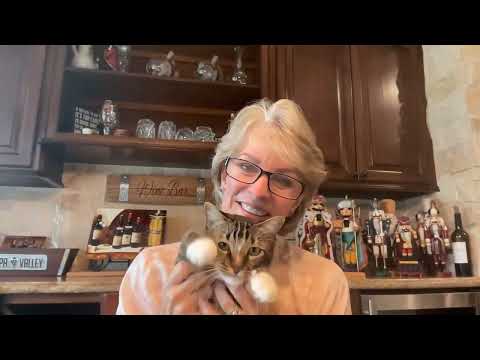 My First Live at 2 pm Houston time!  Eeek! My Cat Sputnik says HELLO, too!