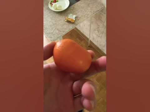 Насрал на стриме - YouTube