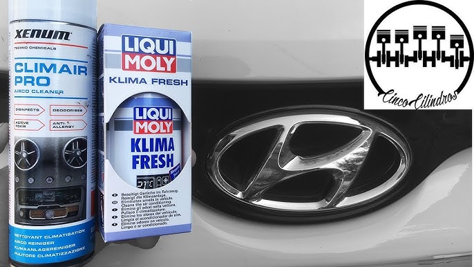 LIQUI MOLY Klimaanlagenreiniger | 1 L | Klimaanlagenpflege | Art.-Nr.: 4091