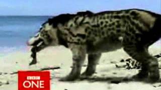 Cndo Con Bestias Trailer