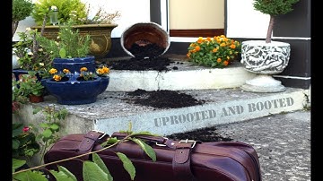 Uprooted and Booted - CHEWIE