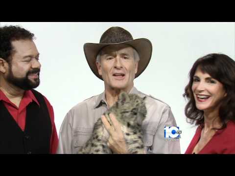 Jack Hanna's Into The Wildlights 2010 - Promotiona...