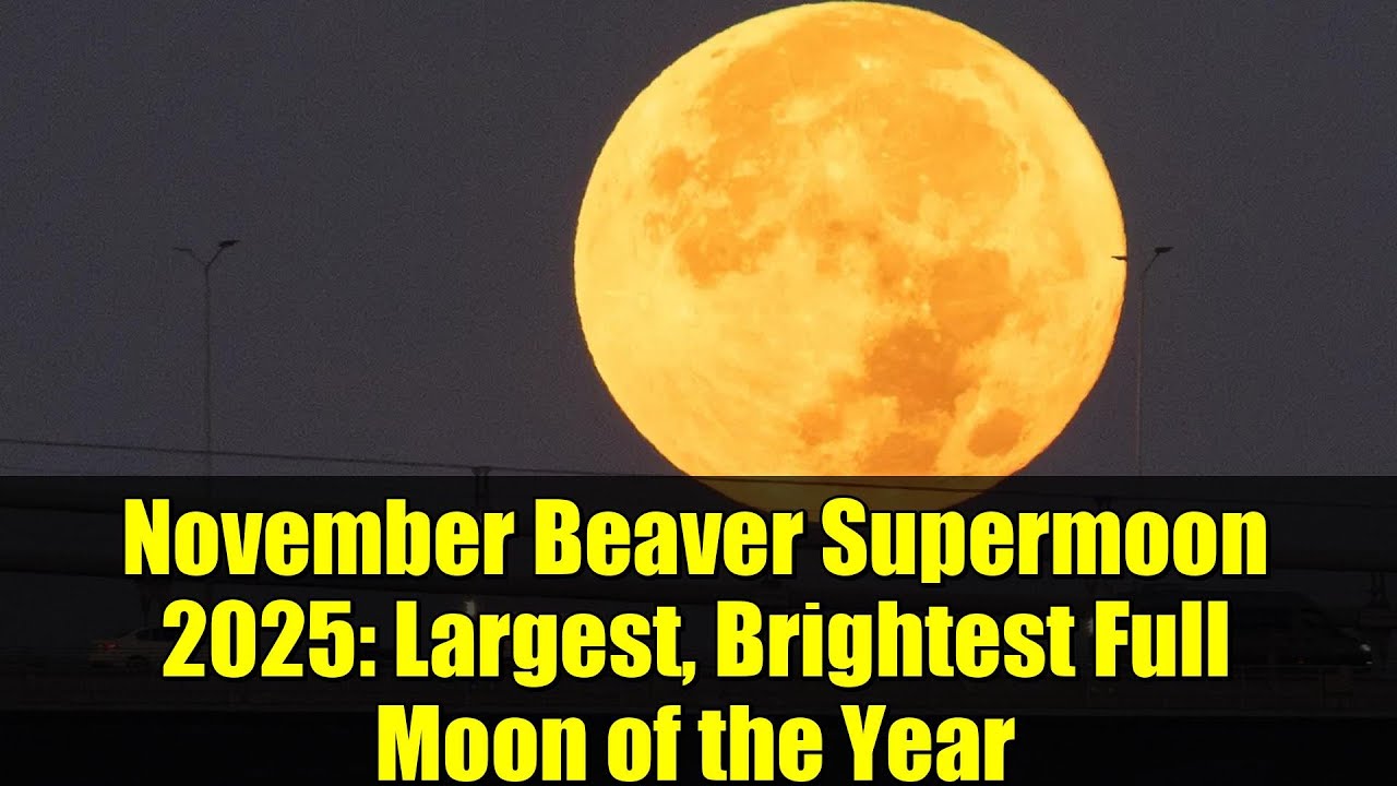 November Beaver Supermoon 2025: Largest, Brightest Full Moon of the ...