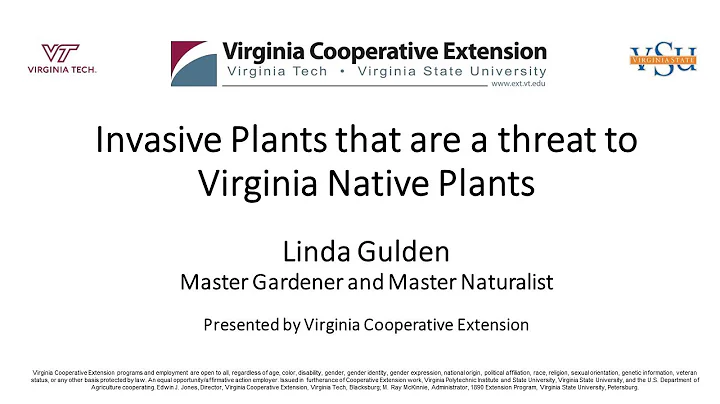 Invasive Plants That Are A Threat To Virginia Native Plants