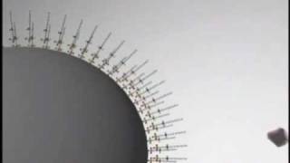 BioShield 75 - Como funciona