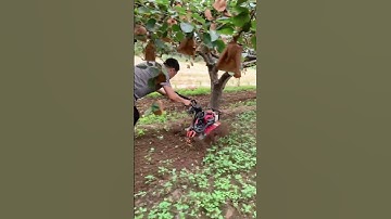 Mini Tiller Machine in Action | Powerful Farming Tool for Easy Soil Preparation part 851