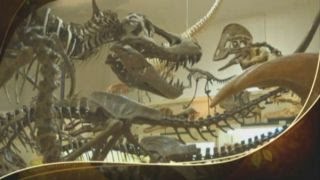 Monday on Strange Inheritance: Dino Cowboy and Lions Tigers & Bears