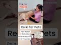Reiki for Pets - pain relief
