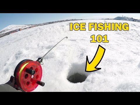 Wie man eisfische