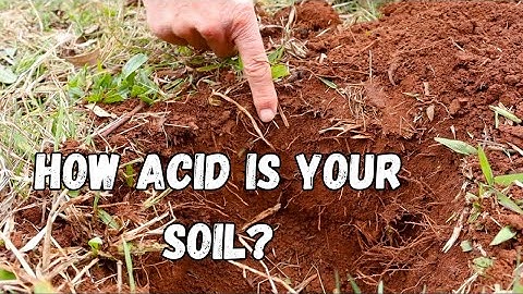 Soil pH Explained: Why Checking It Matters More Than You Think