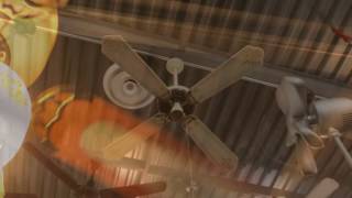 Spring 2017 Fanimation group trip slideshow