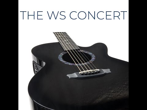 T*r様 RainSong WS1000N2 カーボンファイバー 　 ハードケー T*r様 RainSong WS1000N2 カーボンファイバー ハードケー - メルカリ