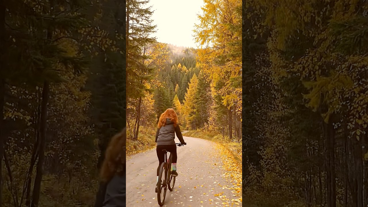 Golden Road Into Nature | Autumn Forest Relaxation Scene 🍂