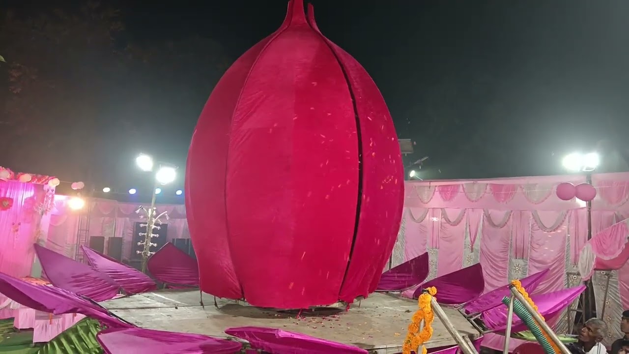 Sumit weds♥️ Usha 28 november 2023