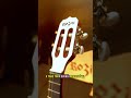 Conheça o banjo brasileiro!!