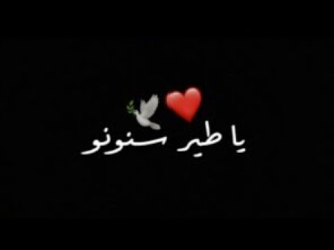 يا طير سنونو لمى شريف يا طير سنونو حالات واتس لمى
