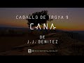 Caballo de Troya 9 - Caná de J.J. Benitez | Parte Nº9 (Voz Digital)