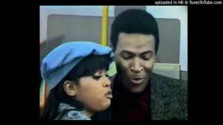 MARVIN GAYE & TAMMIE TERRELL - MEMORY CHEST
