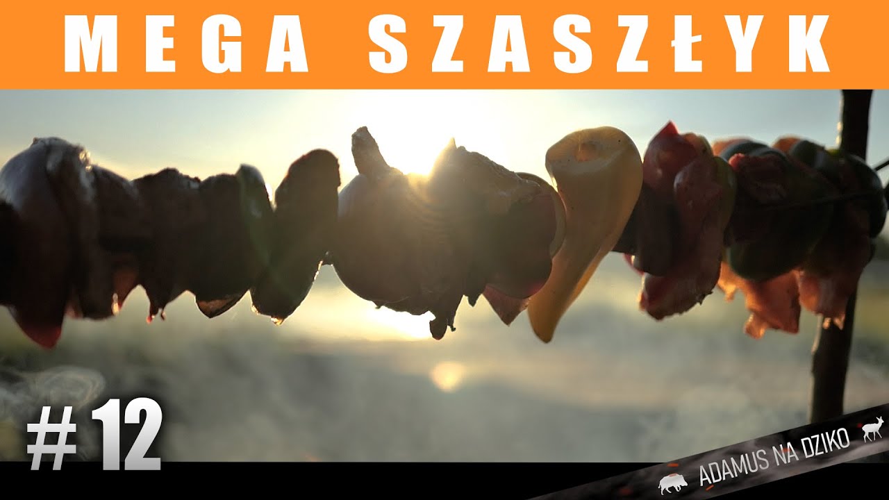 🔥 GIGANTYCZNY SZASZŁYK na Ognisku! Dziczyzna, Sum i Wątróbka! Eksperyment! Adamus na Dziko S1e12