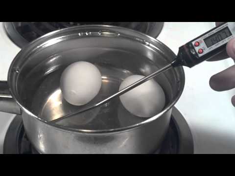 How to Pasteurize Eggs at home