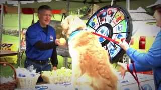 TV64 Bark in the Park POP