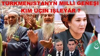 Tm Milli Geňeşi Kim Uçin Işleýär ?
