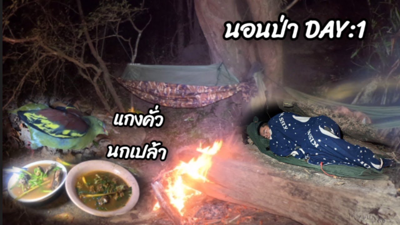 นอนป่ากับทีมงาน//ນອນປ່າກັບທີມງານ11 กุมภาพันธ์ ค.ศ. 2026