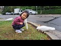 동내에 놀러온 앵무새들 🦜 | Face to face with cockatoos! | 27 months