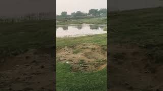 #shorts video bheri babriya lag raha ap tuhi lage la 👍🥺😐😀😲🥺