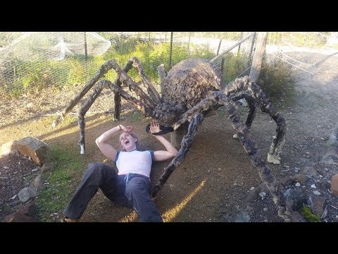 किया हो, अगर मकड़ी इंसान से बड़ी होती What If Spiders Were the Size of Humans