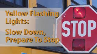 Obey The Law - Stop For School Buses