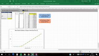 Video Instruction for Derivatives Excel Spreadsheet