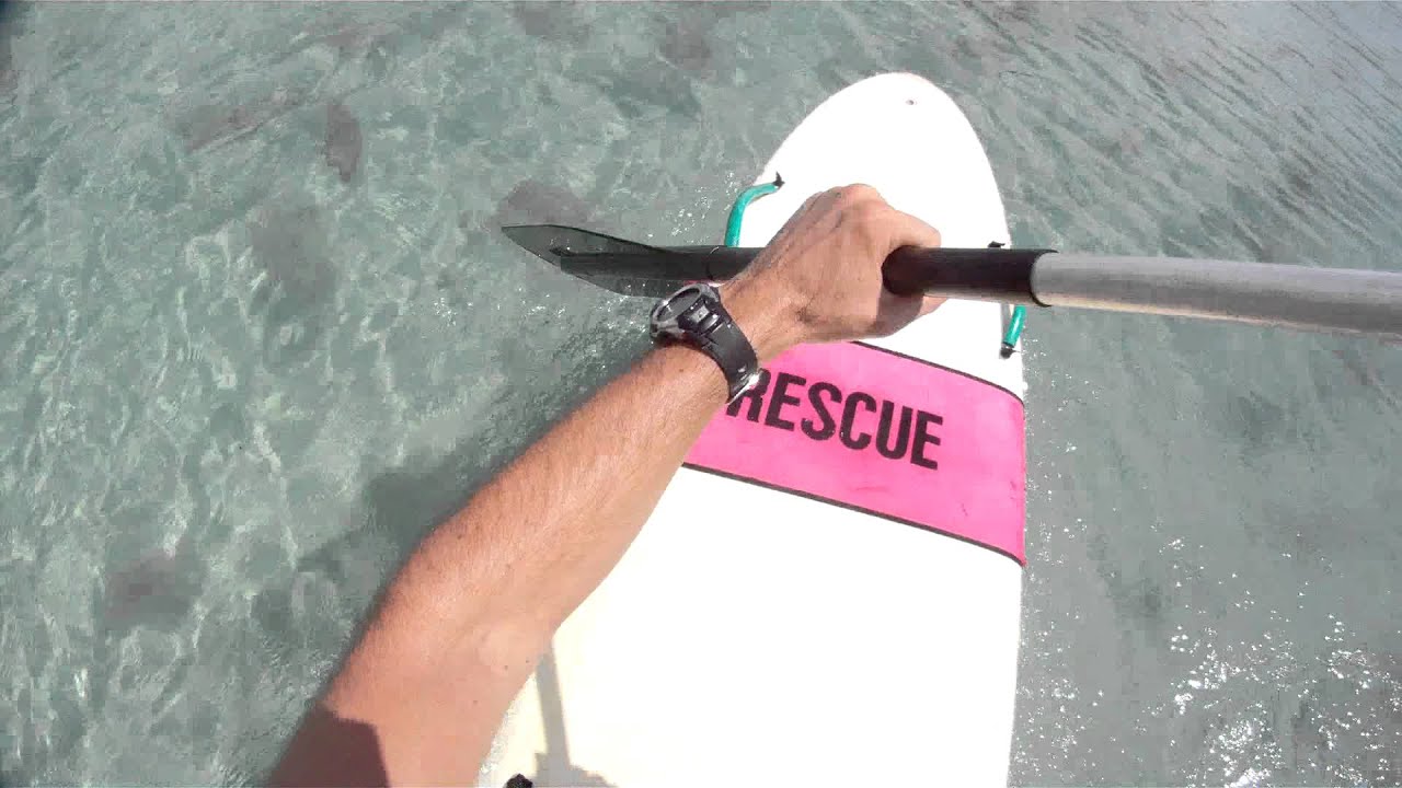 Haulover Jelly Fish Infestation part 1