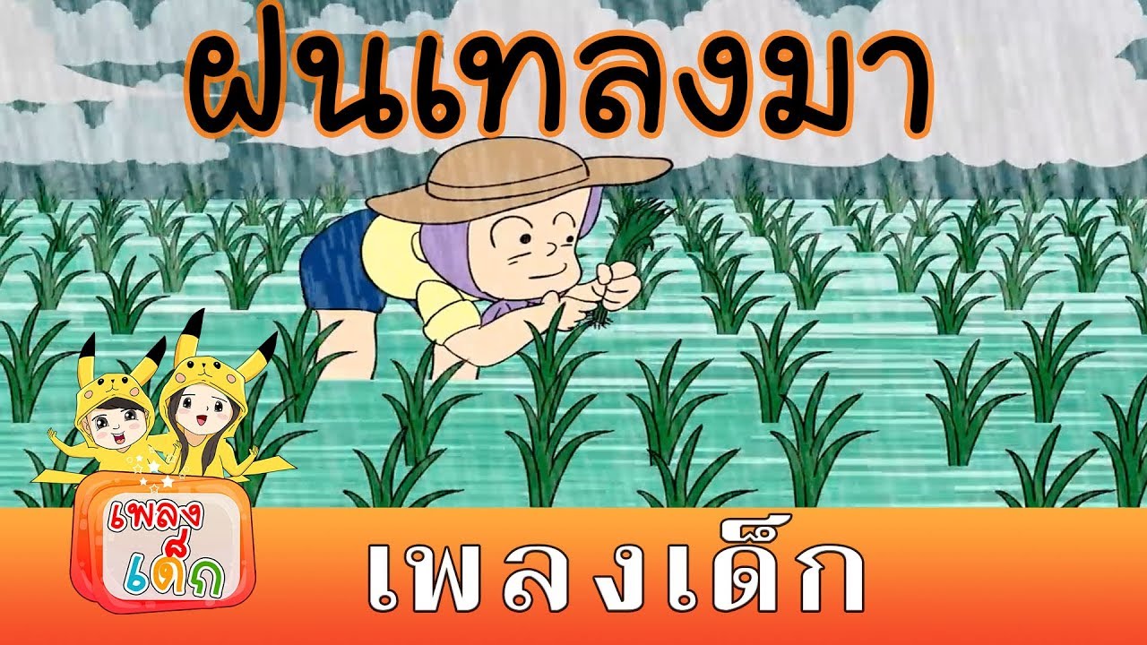 เพลงเด็กอนุบาล ฝนเทลงมา เพลงเด็ก namokidsong