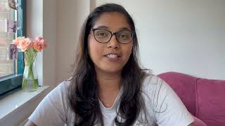 HSM visa Netherlands explained Details and process