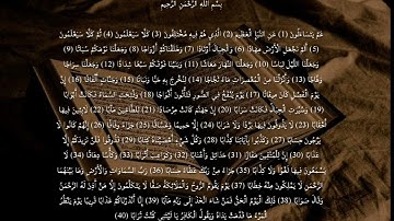 سوره النبأ||الجزء الثلاثون|| القارئ الحاج عامر الكاظمي|| ترتيل