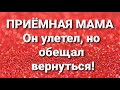 Дневник приёмной мамы/Обзор.