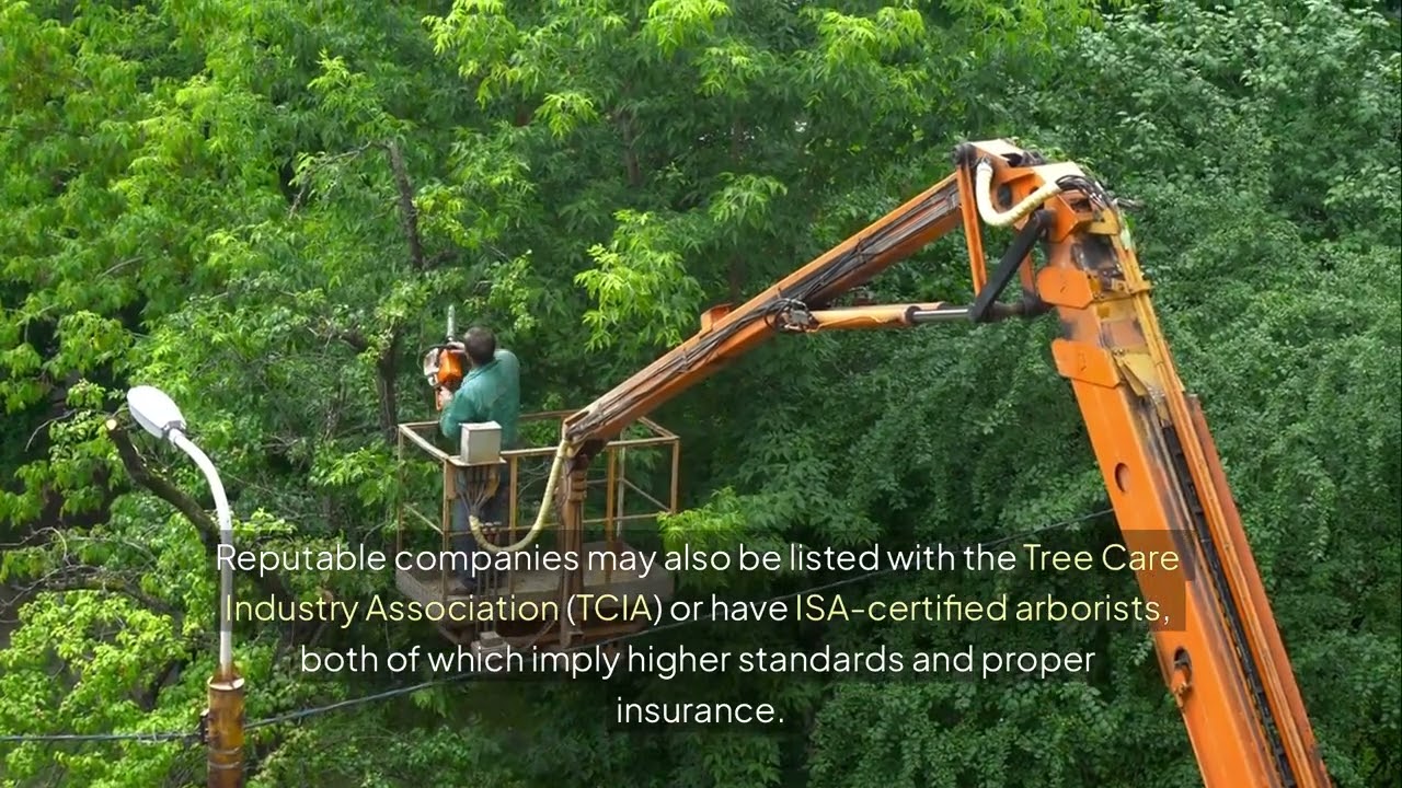 How do I know if a tree company is insured in West Melbourne Plan-It Lawn & Landscape, LLC