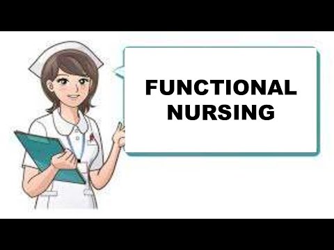 functional assignment in nursing