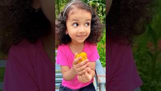 Survival Skillssimple Anduseful