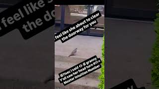Look who came to visit on Easter #nature #universe #shorts #ascension #awakening #easter #healing