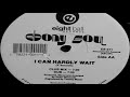 Ebony Soul – I Can Hardly Wait – Vinyl (12